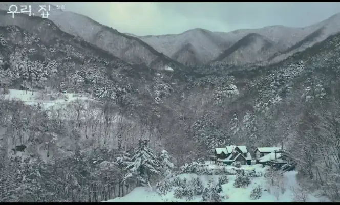 우리집 촬영지 눈