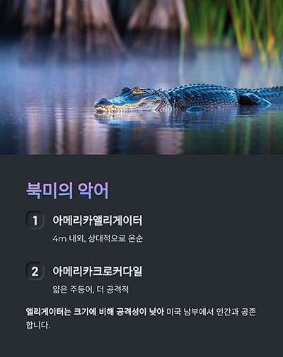 북미의 악어 – 앨리게이터의 본고장