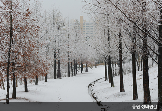 대전 한밭수목원 꽃구경