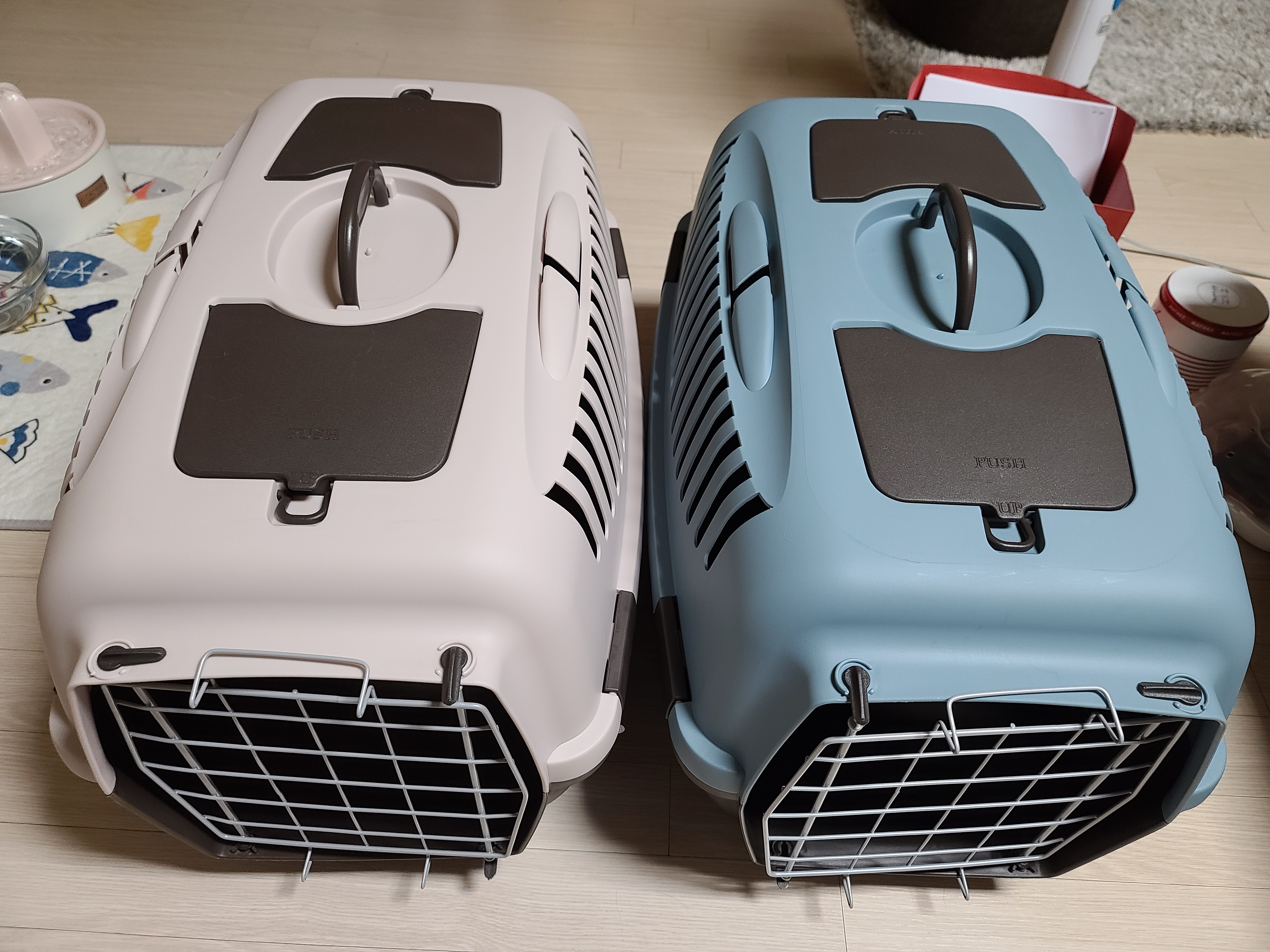 새 이동장이 왔다. 고양이들 총출동!