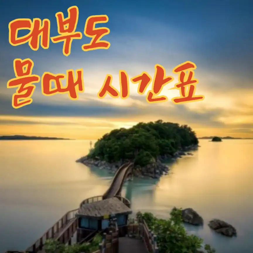 대부도 물때 시간표