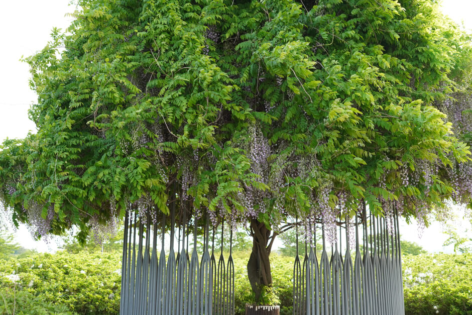 함안 가볼만한곳 베스트 10