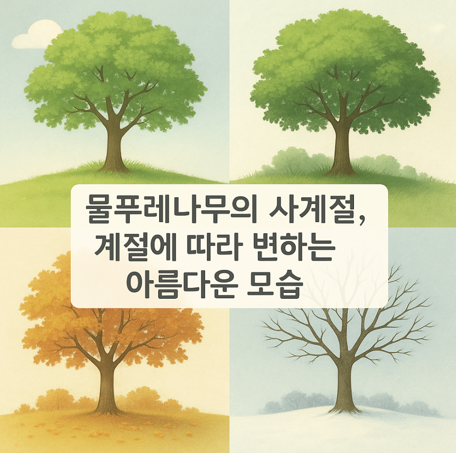 물푸레나무의 사계절, 계절에 따라 변하는 아름다운 모습