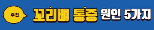 콘드로이친 효능