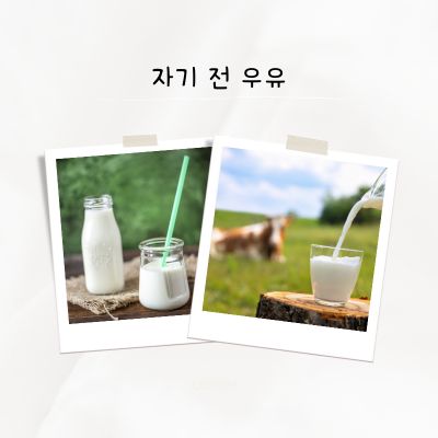 자기 전 우유