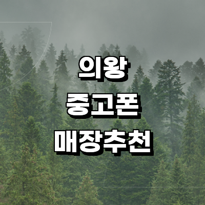 의왕시 중고폰
