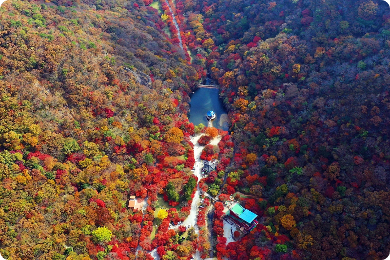 내장산국립공원(케이블카) 이미지/출처: 정읍시 문화관광