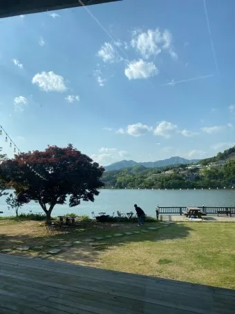 양평 가볼만한곳 베스트10 두물머리 연잎핫도그_23