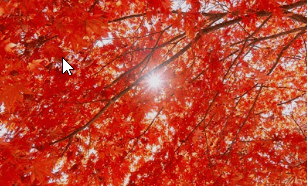 기차여행 단풍특선 추천