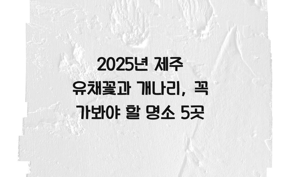 2025년 제주 유채꽃과 개나리 여행지 추천! 봄철 제주 필수 코스 확인하고 떠나세요