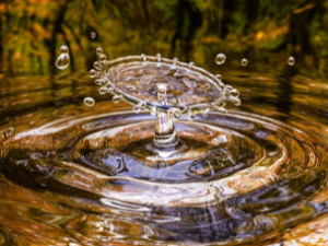 배에 가스가 자주 차는 이유