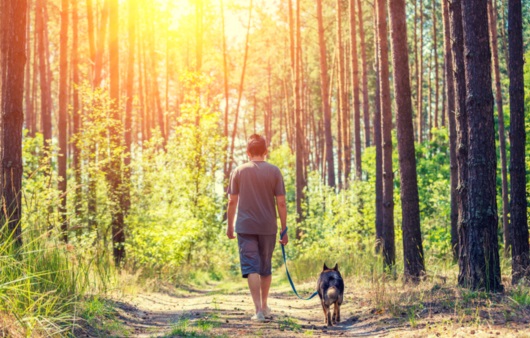 혈당관리 관련 사진 이미지