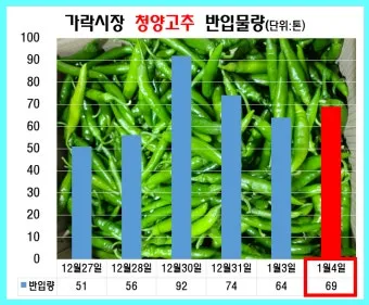 영양 고추 가격 시세 10근가격 현재 농산물 시세_18