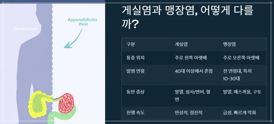 게실염과-맹장염의-차이