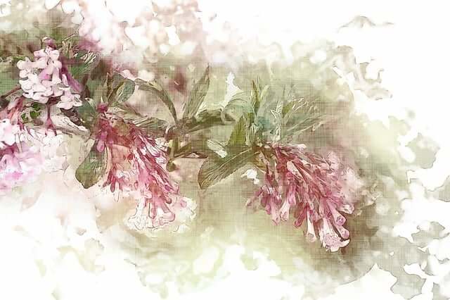 2025년 시니어 복지지원금