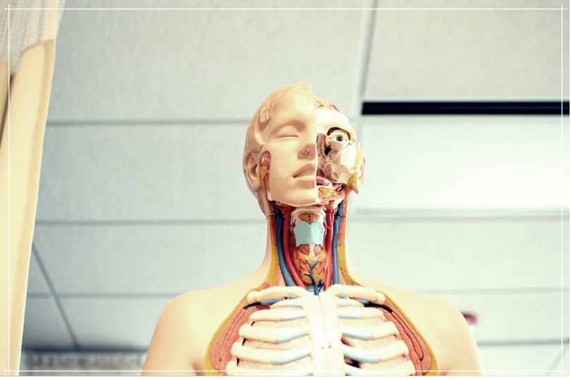 삼킴장애의 원인, 운동법, 및 치료 방법