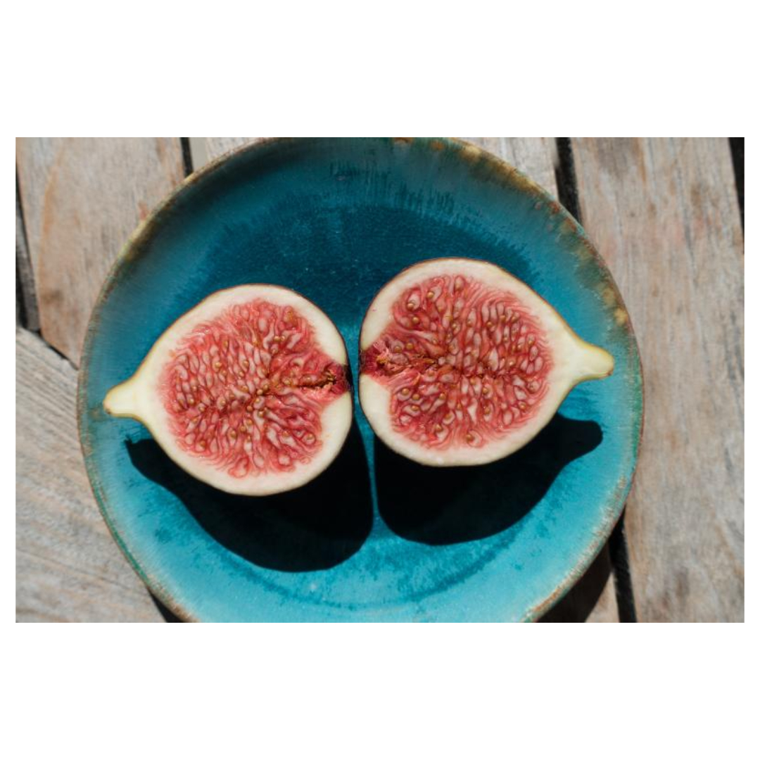 무화과와 관련된 사진입니다.