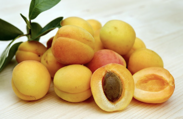 장 건강을 위한 식습관