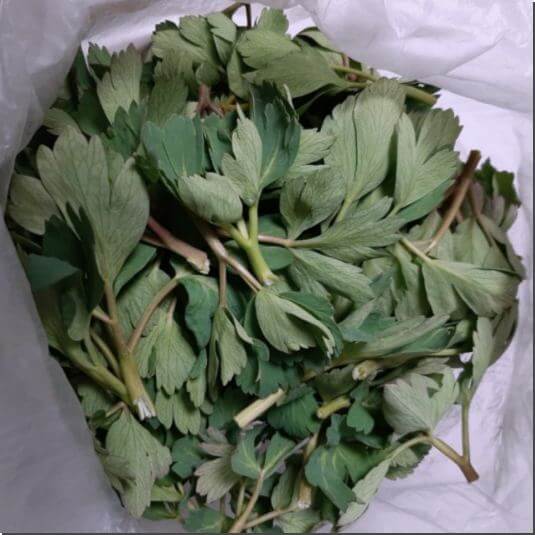 중풍 예방과 심신 안정에 도움이 되는 방풍나물