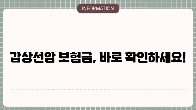 보험금 청구 절차의 중요성