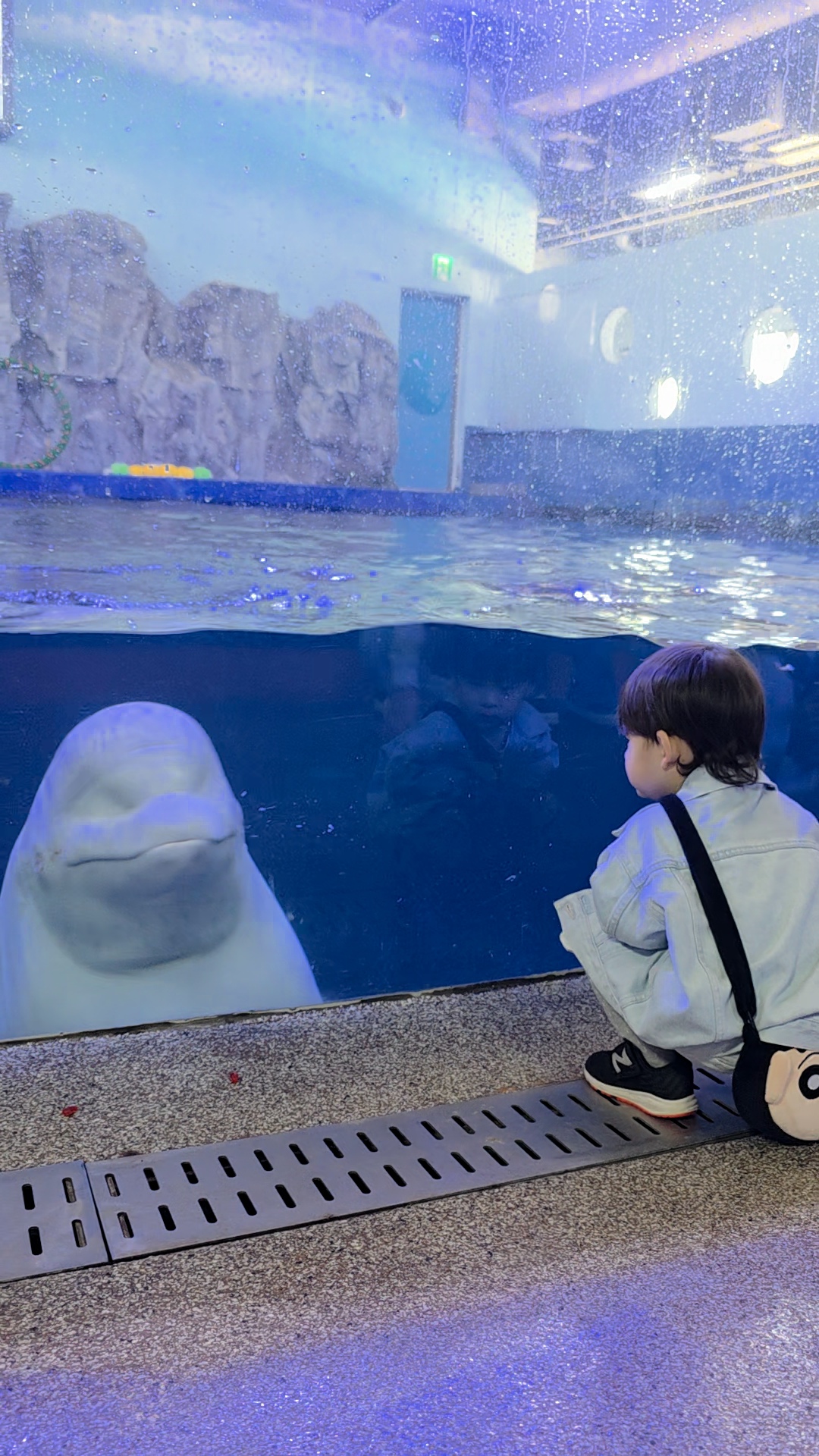 아쿠아플라닛 내부