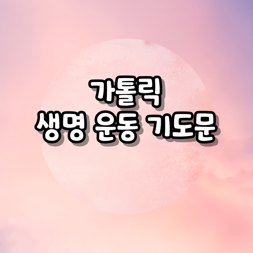 가톨릭 생명 운동 기도문