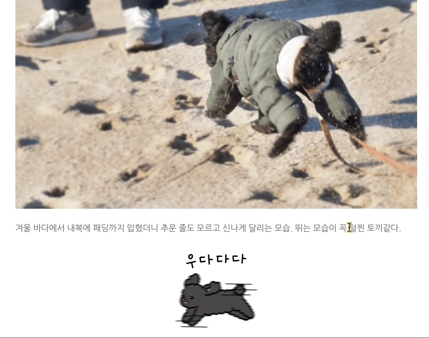 글자 선택 드래그하기