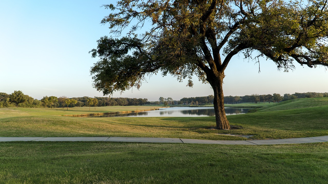 파크골프장 전경