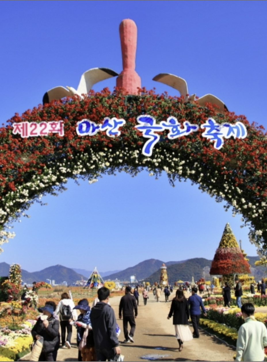 2023 가을 국화 축제(경기, 경남, 충남, 전북, 전남)