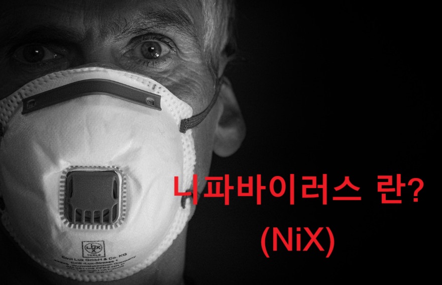 니파바이러스 WHO팬데믹 후보병원체