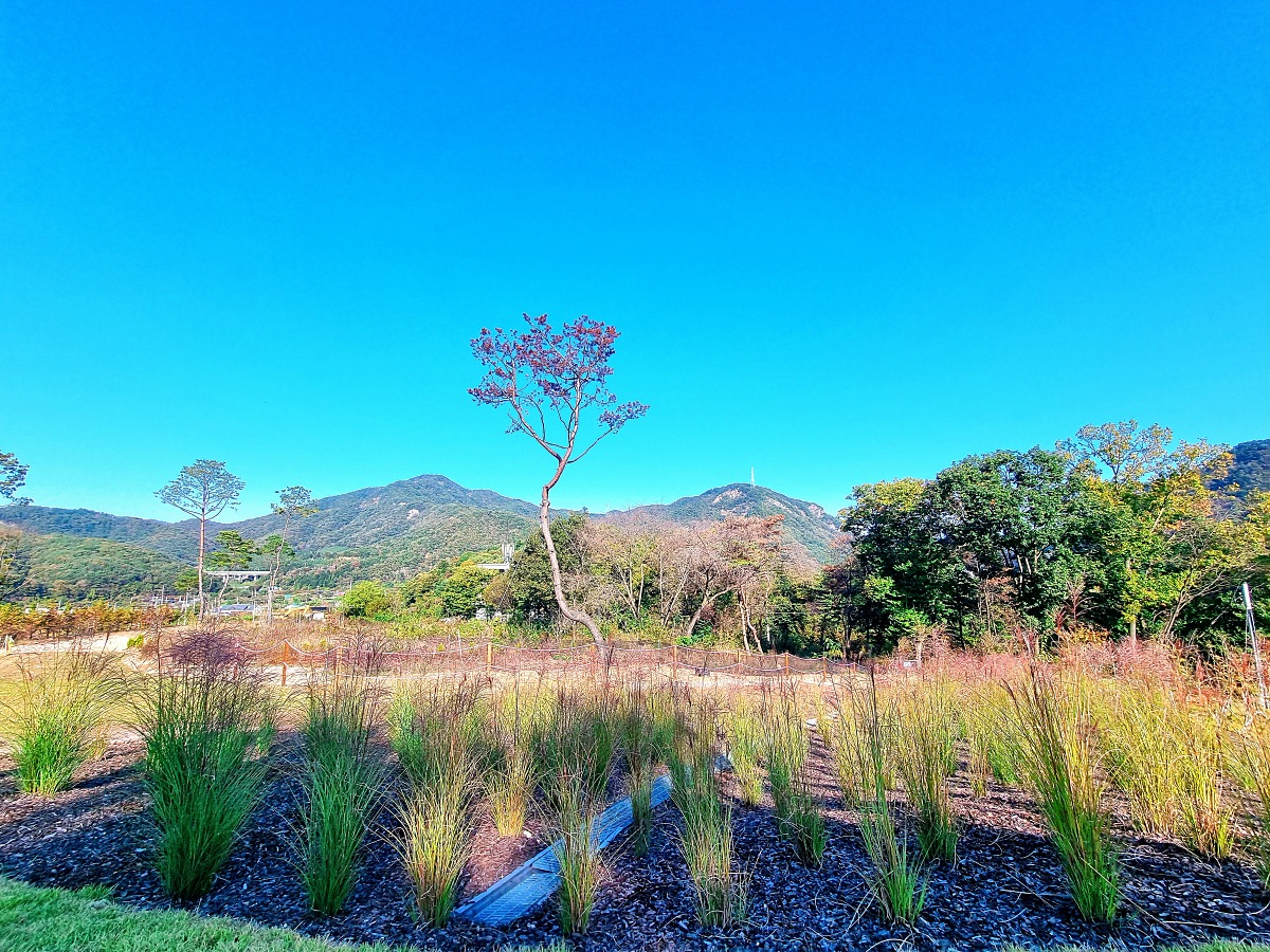강원도 원주 포트힐 카페: 미니 출렁다리와 루프탑 정원&amp;#44; 산 뷰가 예쁜 곳