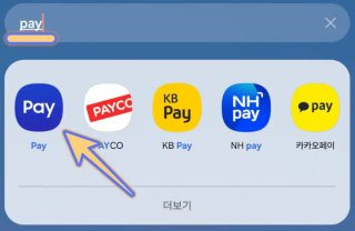삼성페이 결제 오류 앱 고객센터 월렛 교통카드 먹통 이유