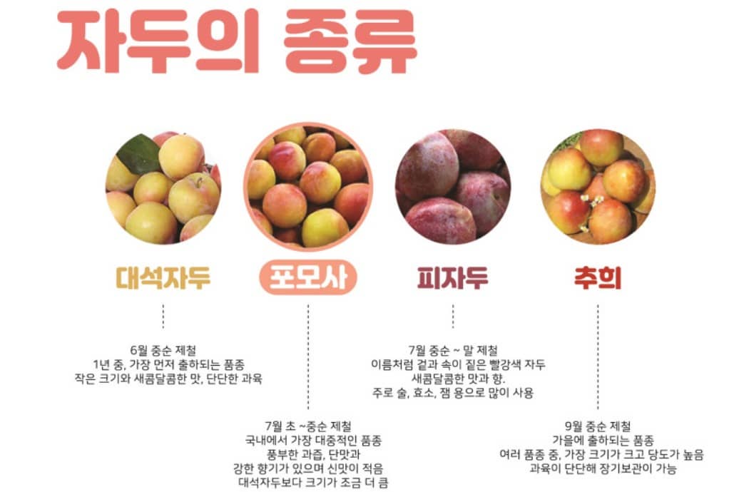 김천 자두 축제