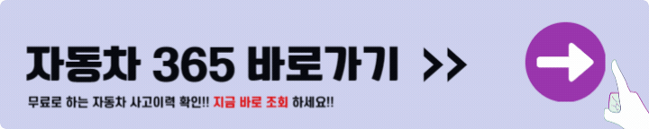 자동차365
