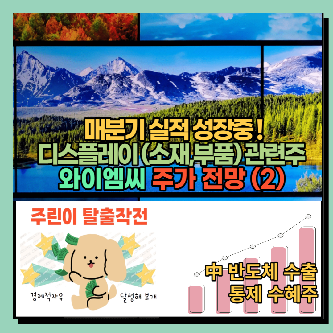 와이엠씨