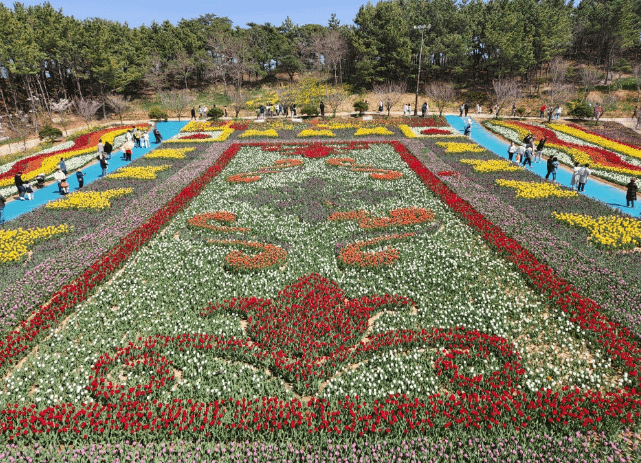 세계튤립꽃박람회
