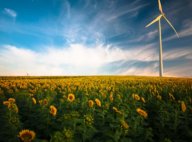 한전 에너지 캐시백 신청방법&amp;#44; 환급 (주택용) 홈페이지 바로가기