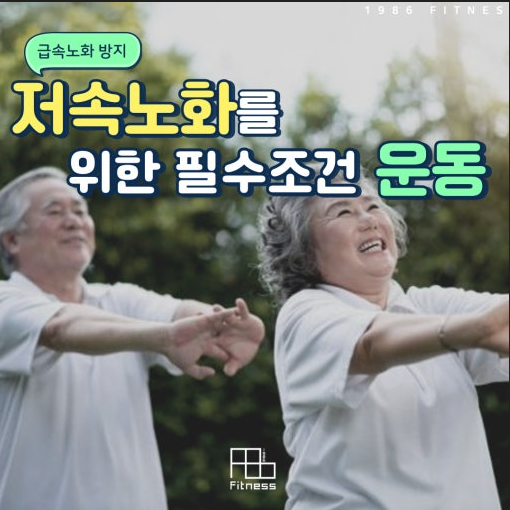 저속노화 운동법
