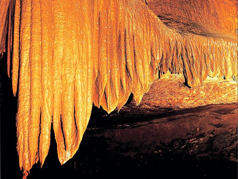 삼척 대금굴 예약 방법