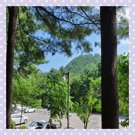 국립자연휴양림숲나들이e