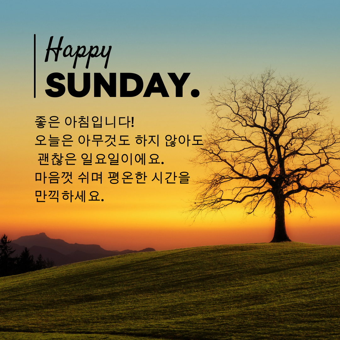 일요일 아침 인사말 이미지 문구 모음집