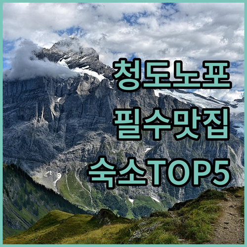 청도읍 중심사거리 노포 맛집 정보와 ..