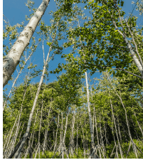 νλ΄μ² μ κ²½μ¬μ§