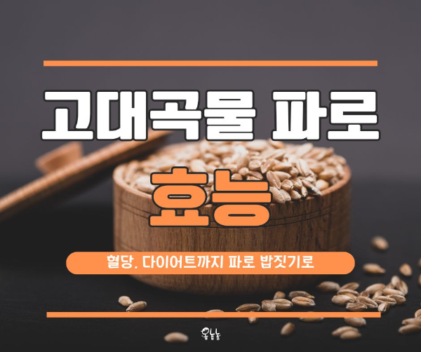 파로 곡물