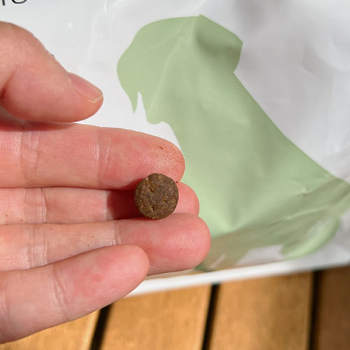 엔토벳-인섹트-사료