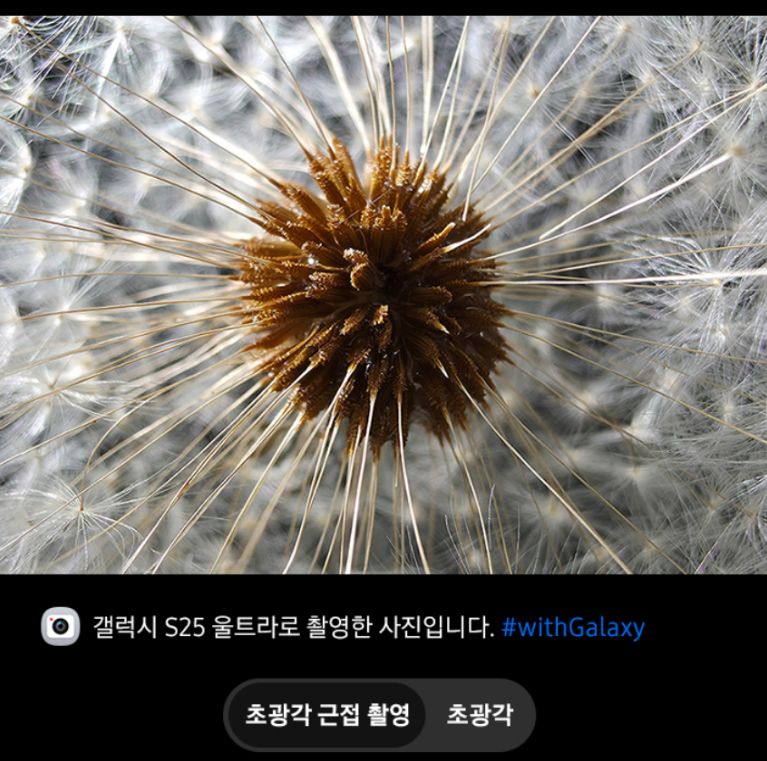 S25울트라-초광각-근접-촬영-사진