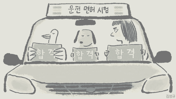 1종 보통 운전 가능 차량