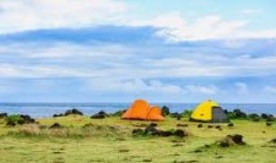 제주 우도 운항요금