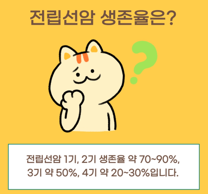 전립선암-생존율-고양이궁금해하는모습