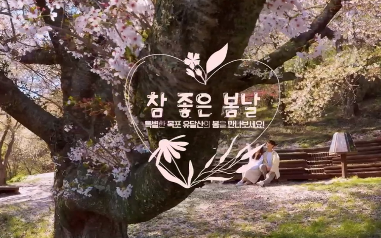 전국 벚꽃 봄꽃 축제 추천 Best 5